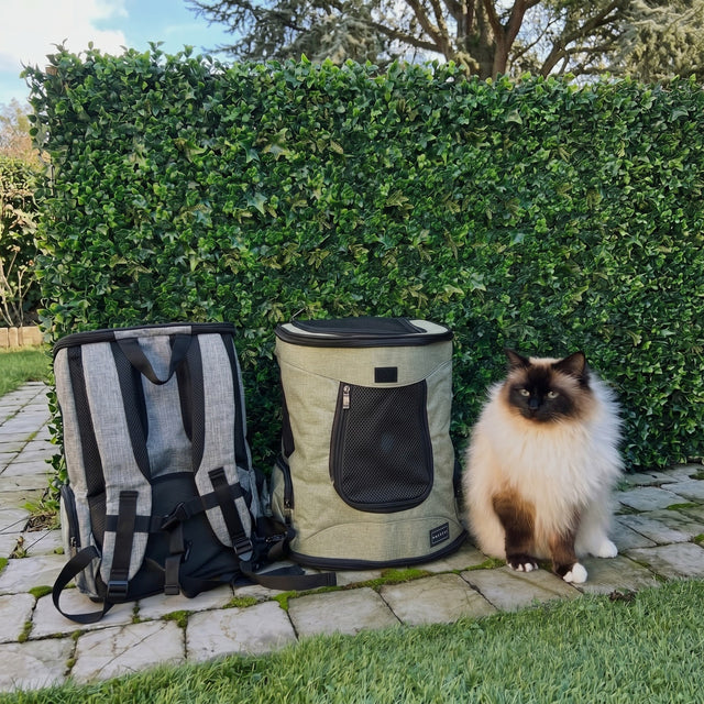 Ragdoll cat on PETSFIT gray soft pet backpack carrier with seaside ocean view and rocks in background