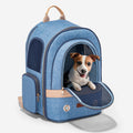 PETSFIT Vira Blazer Denim Backpack for Stylish Pets