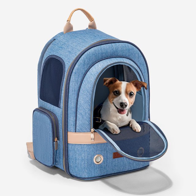 Small dog peeks out through the open front mesh flap, seated comfortably inside with breathable panels and secure space