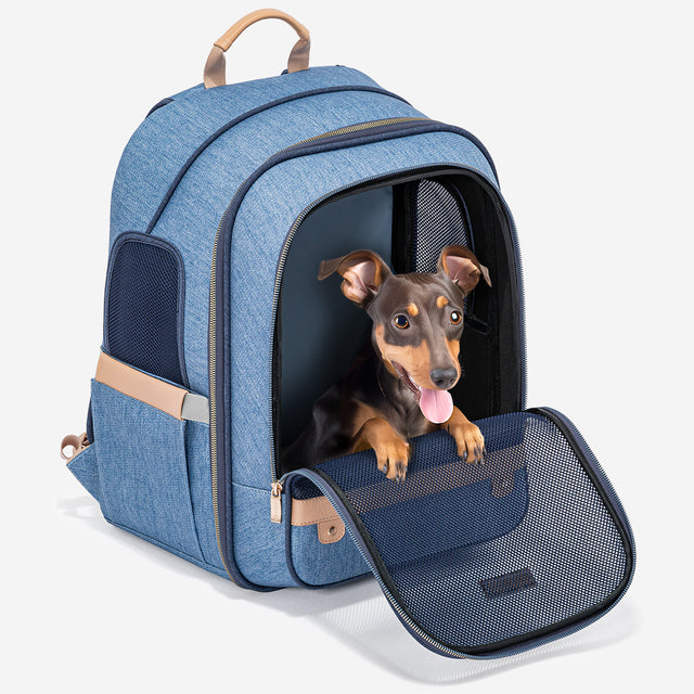 Small dog sitting at the open front of the dog backpack, with mesh door folded down for airflow and quick interaction.