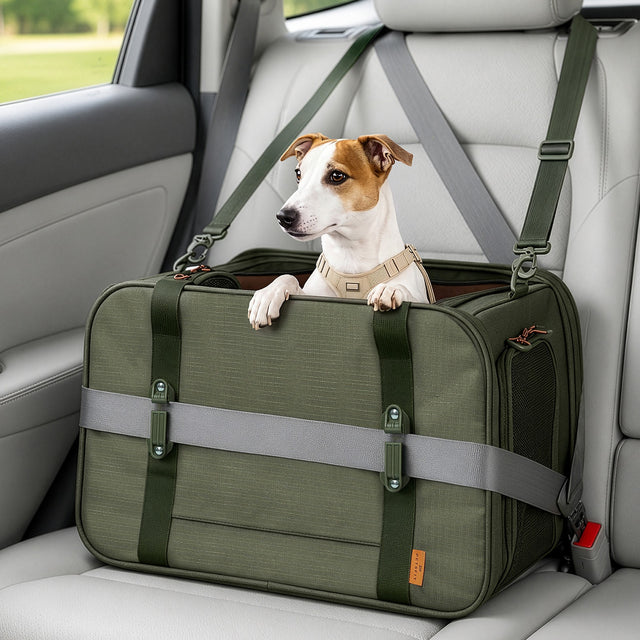 Jack Russell Terrier dog sitting in open PETSFIT WILDPATH olive green pet travel carrier secured in car back seat with patented seatbelt safety buckle system