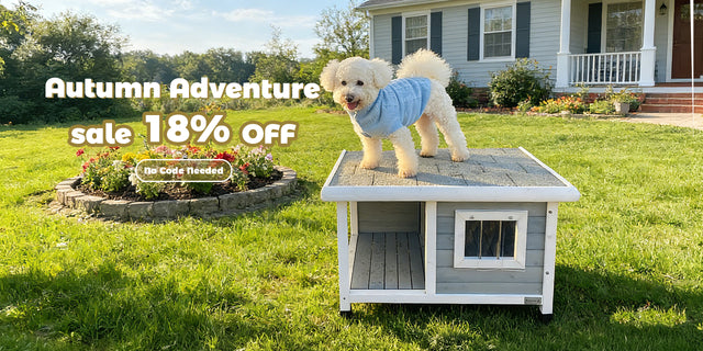 PETSFIT dog house banner desktop