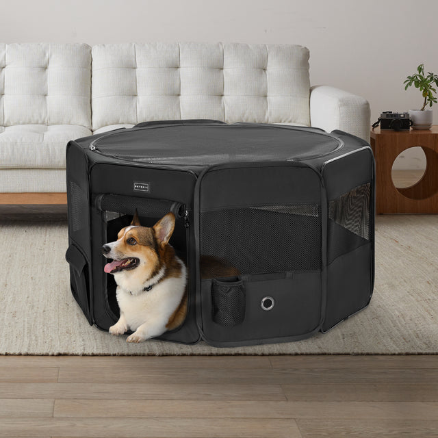 Corgi dog resting inside PETSFIT black octagonal dog playpen in modern living room — large indoor pet playpen with mesh roof and side pockets