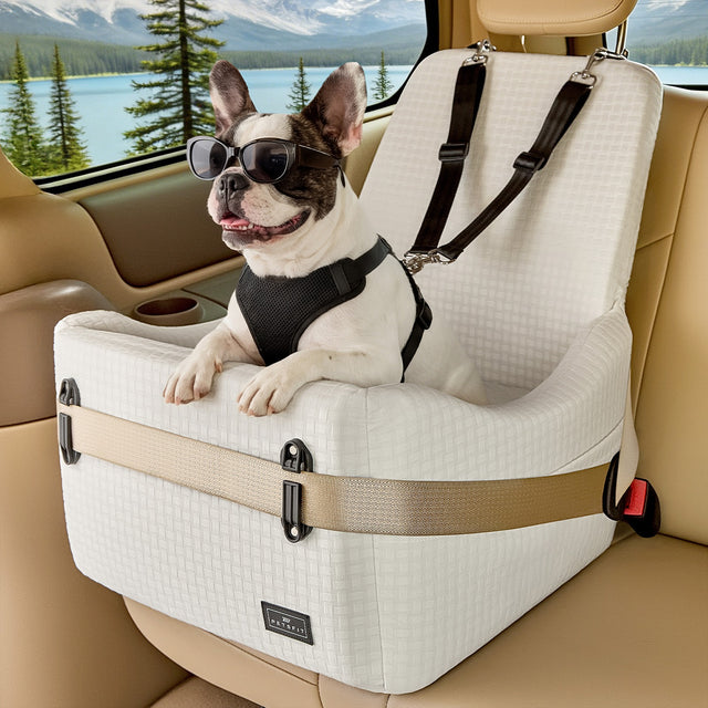PETSFIT memory foam dog booster car seat in beige/cream color with beige safety straps, available in USA