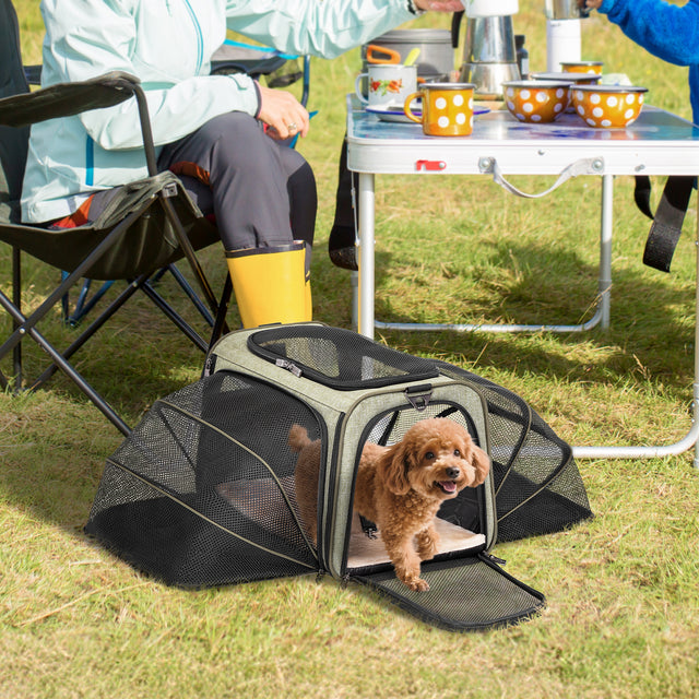 Brown teddy dog peeking out of an expanded green PETSFIT pet carrier at an outdoor picnic and camping scene.
