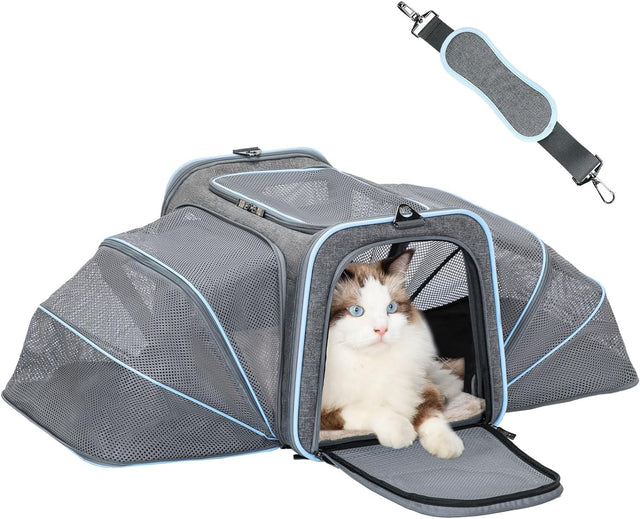 Blue-eyed cat rests inside a gray collapsible kennel with expanded mesh side wings and open front flap, with shoulder strap above.