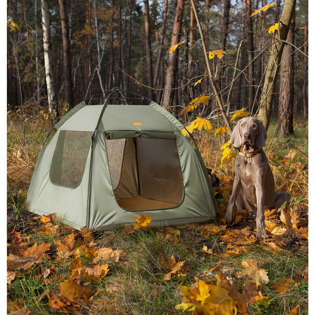 PETSFIT New Arrivals – Latest Pet Homes, Carriers & Gear for Your Pets