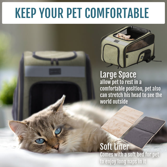 Close-up of the scratch-resistant 600D Oxford cloth material on the green Petsfit pet carrier backpack