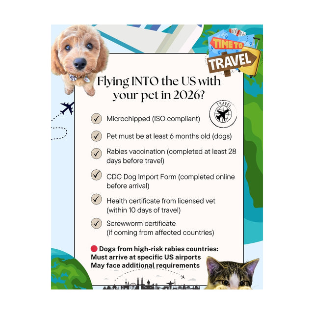 PETSFIT Two-Way Placement Dog Carrier Airline Approved Small Animals Carriers for Kittens