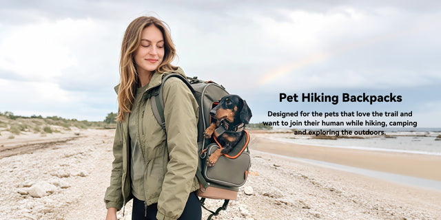 Woman in an olive jacket walks a pebble shoreline with a dachshund riding in an olive pet hiking backpack