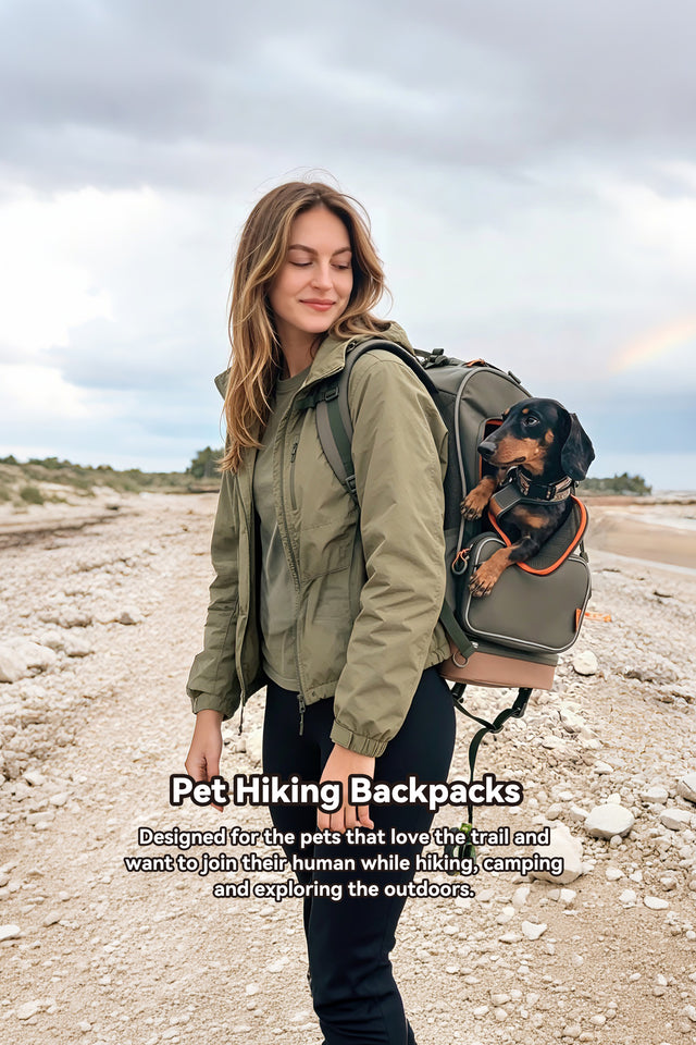 Dachshund looks out of the mesh window of an olive pet hiking backpack carried along a stony coastal trail