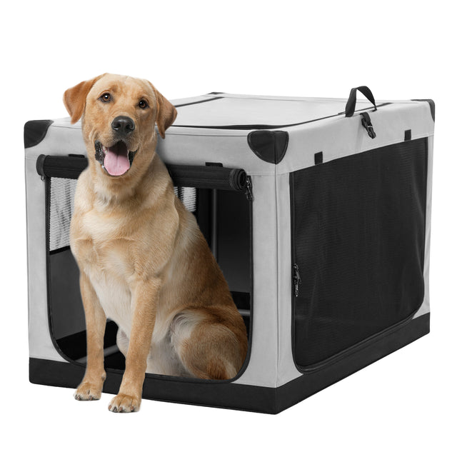 Yellow lab sits comfortably in an extra-roomy travel dog crate with open front panel and full-length breathable mesh sides.