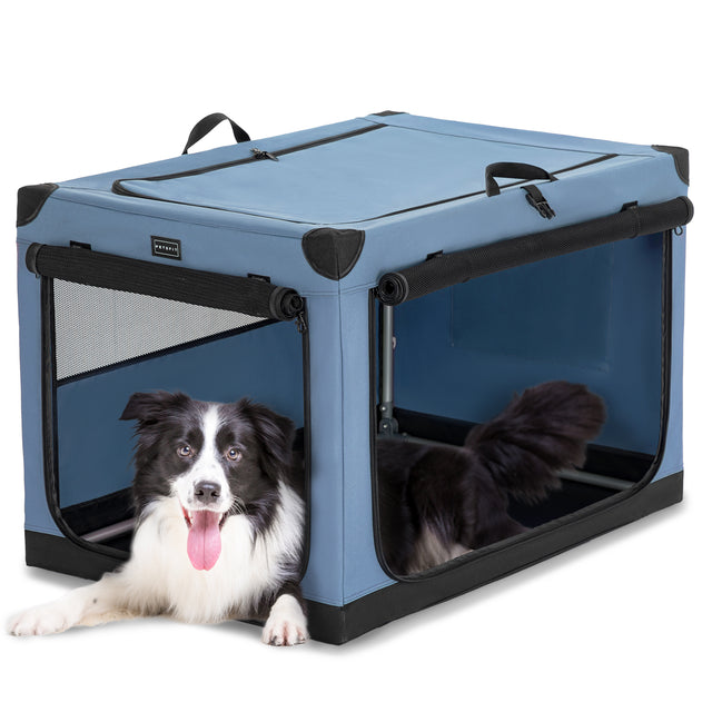 Blue soft dog crate with mesh doors and top panel open, as a happy border collie lounges comfortably inside.