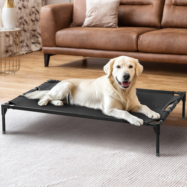 Petsfit simple and basic low-profile dog bed in gray, providing a comfortable resting spot for dogs