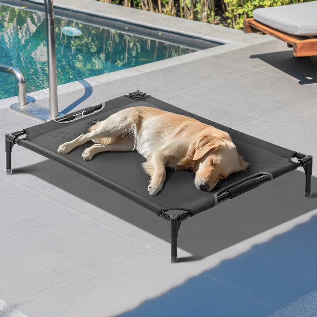 Petsfit simple and basic low-profile dog bed in gray, providing a comfortable resting spot for dogs
