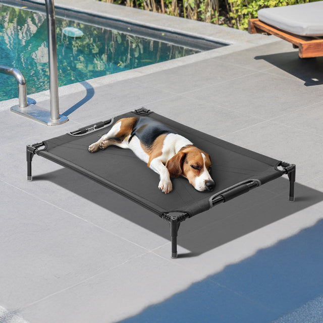 Petsfit simple and basic low-profile dog bed in gray, providing a comfortable resting spot for dogs