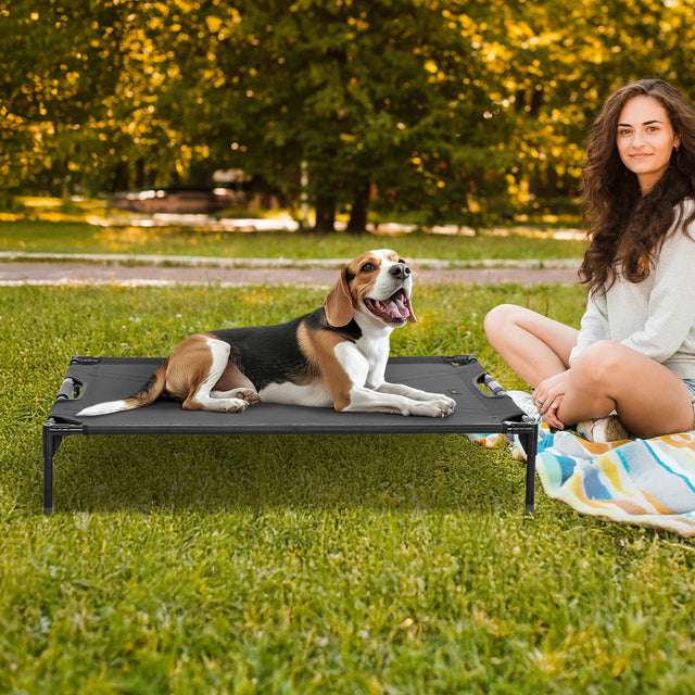 Petsfit simple and basic low-profile dog bed in gray, providing a comfortable resting spot for dogs