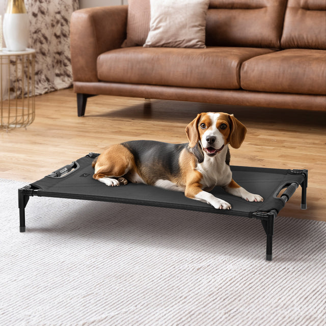 Petsfit simple and basic low-profile dog bed in gray, providing a comfortable resting spot for dogs