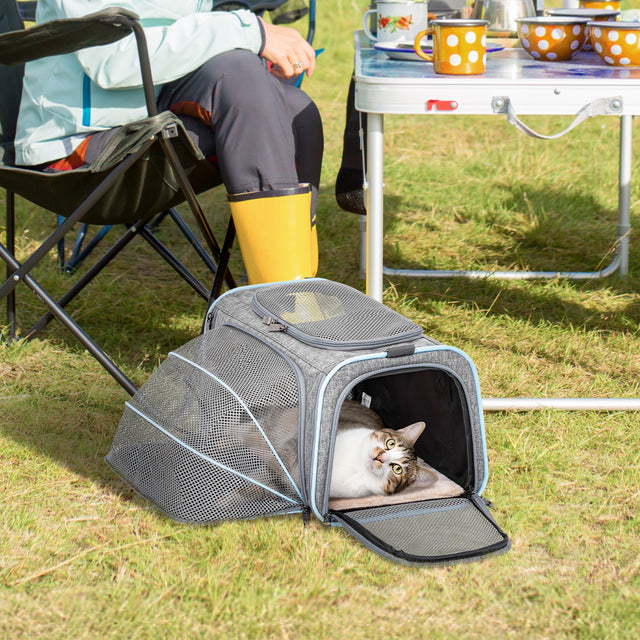 Cat lounges in a breathable pet carrier at a campsite beside folding chairs and a picnic table, enjoying shade and fresh air.
