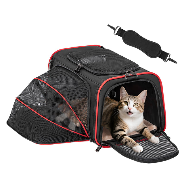 Black and red pet carrier with mesh expansion panel shows a tabby cat at the doorway and detachable padded shoulder strap.