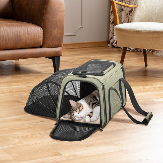 Cat naps inside an expanded pet carrier on a living room floor between chairs, with front mesh door unzipped for easy access.