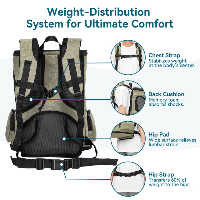 Back view infographic highlights padded straps, chest buckle, hip belt, and lumbar cushion for balanced, comfortable carry.