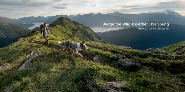 PETSFIT Spring Hiking Banner - Pet-Friendly Adventure for Dogs - Explore and Connect with Your Furry Companion in Nature