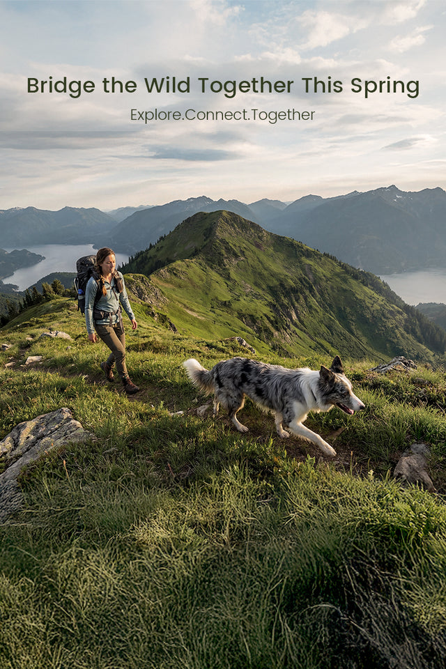 PETSFIT Spring Hiking Banner - Pet-Friendly Adventure for Dogs - Explore and Connect with Your Furry Companion in Nature
