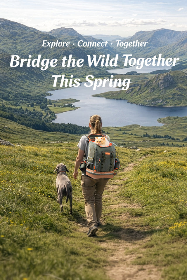 PETSFIT spring sale desktop banner featuring a pet carrier backpack with seasonal promotion details and outdoor background