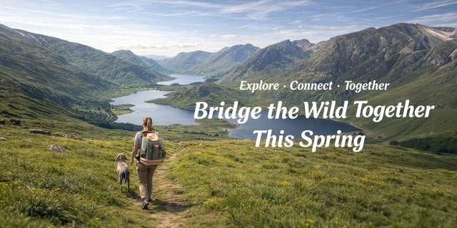 PETSFIT spring sale desktop banner with cat in a green backpack on a sunny trail, Spring Adventure Sale promotional text