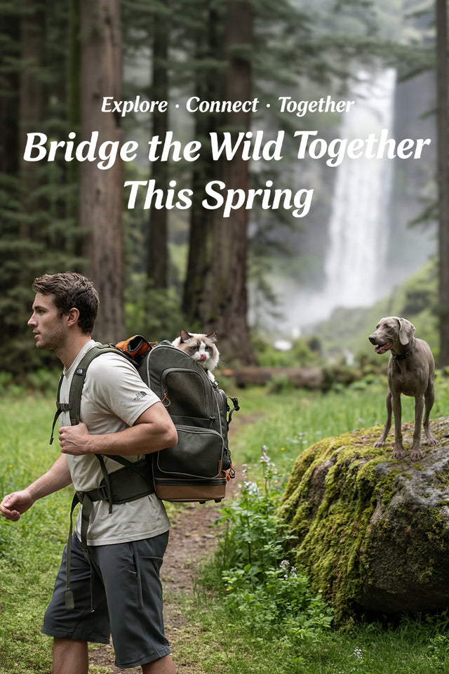 PETSFIT spring sale mobile banner featuring a pet carrier backpack with promotion details, vertical format for mobile display