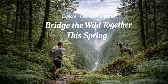 PETSFIT spring sale mobile banner with cat in a green backpack on a sunny outdoor trail, vertical format for mobile display