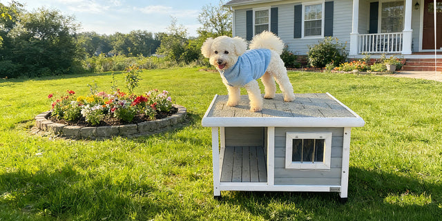PETSFIT spring sale banner featuring wooden pet house products in an outdoor garden setting with seasonal sale promotion