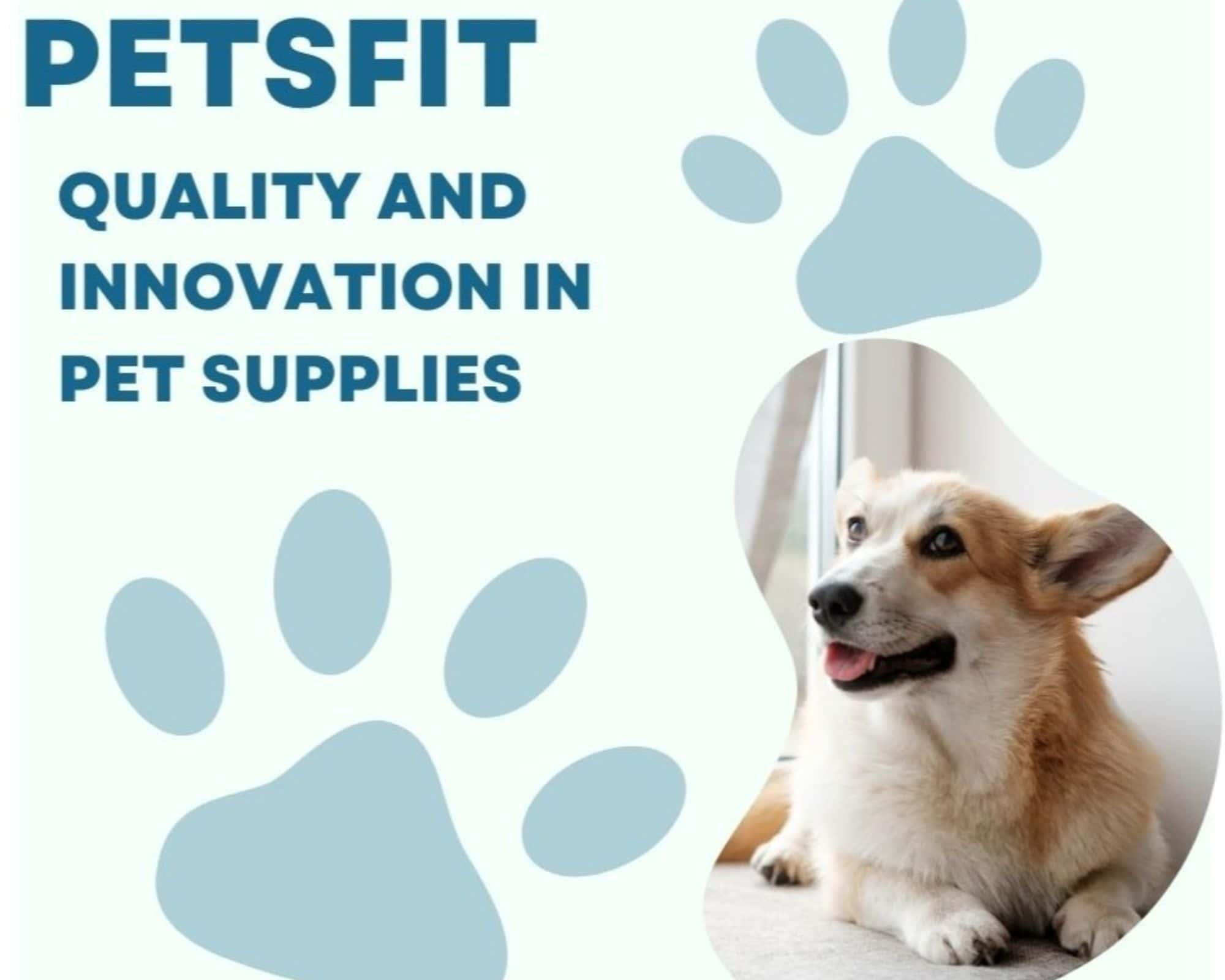 quality-and-innovation-in-pet-supplies