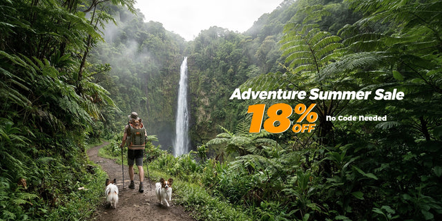 Adventure Summer Sale 18% OFF No Code Needed — hiker with two dogs walking toward jungle waterfall desktop banner
