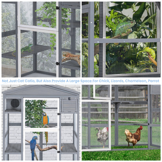 Multi-use outdoor cat house shown with reptiles, parrots, and chickens, illustrating roomy mesh space for different small animals.