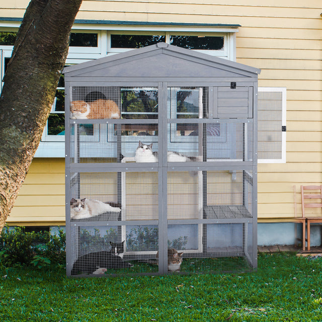 Outdoor cat enclosure beside a yellow house, with cats napping on platforms and watching the yard from secure mesh panels.