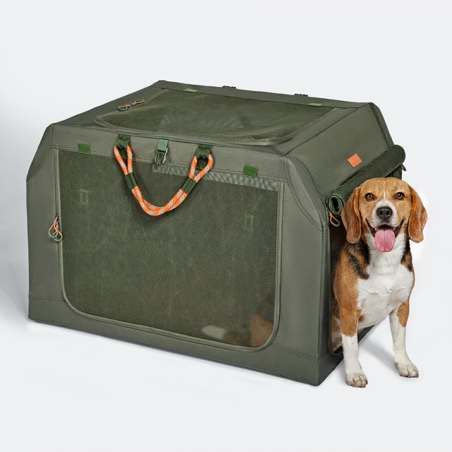 Army green soft dog crate on white background, mesh front panel and orange rope handles, beagle standing at the open door
