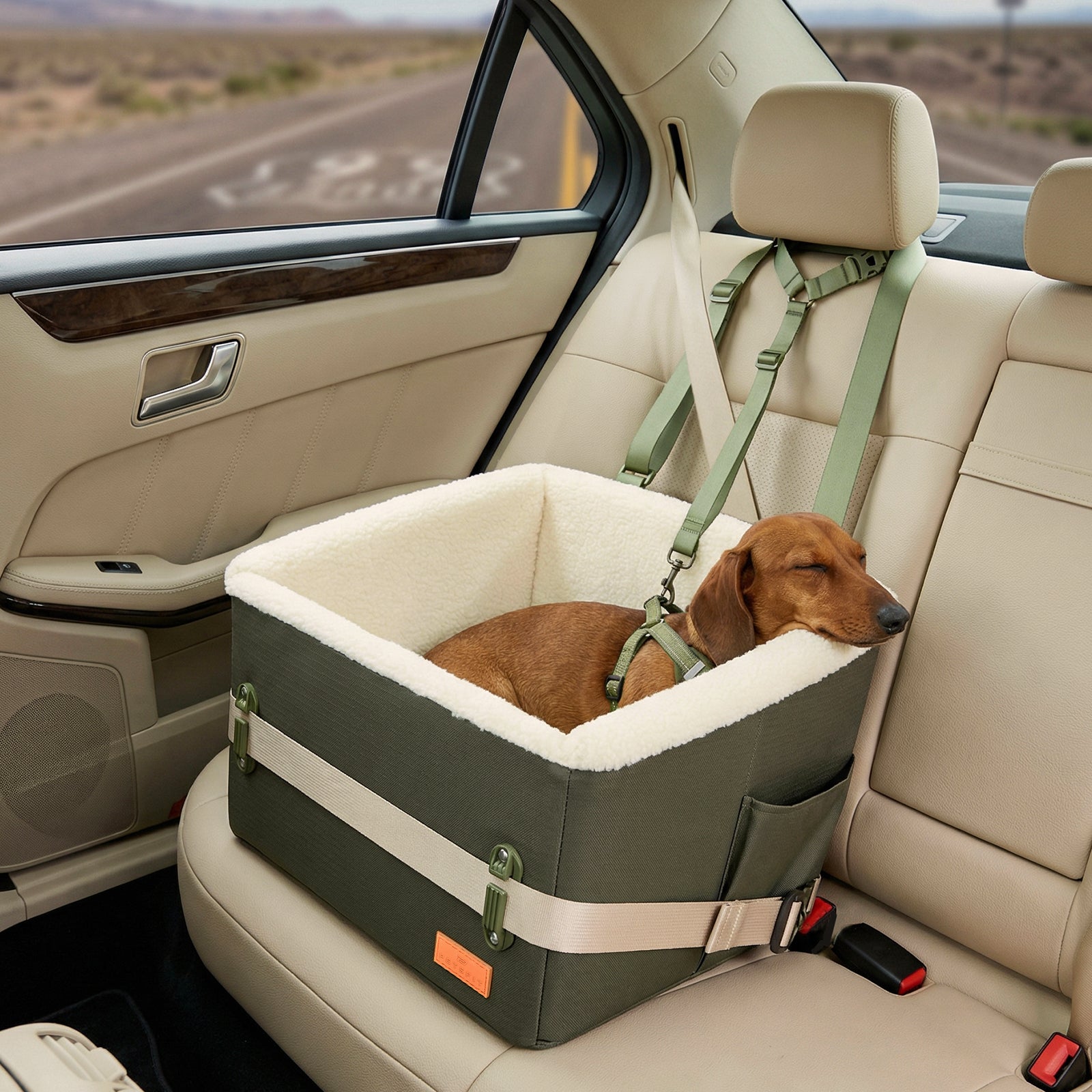 PETSFIT WILDPATH Elevated Dog Car Booster Seat | 5.1