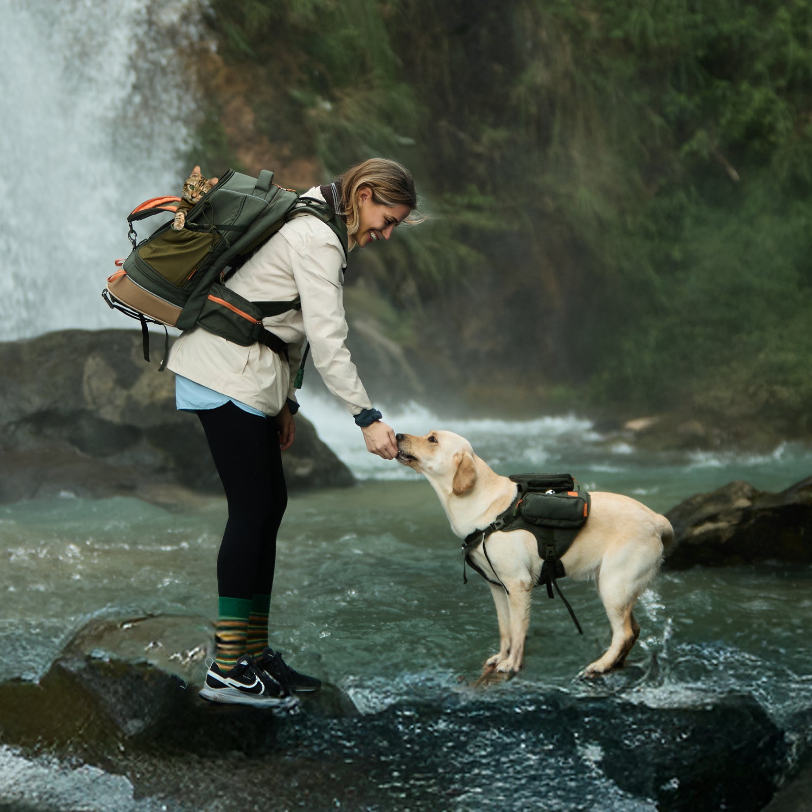 WILDPATH Series – Waterproof Hiking Pet Carrier Backpacks | PETSFIT