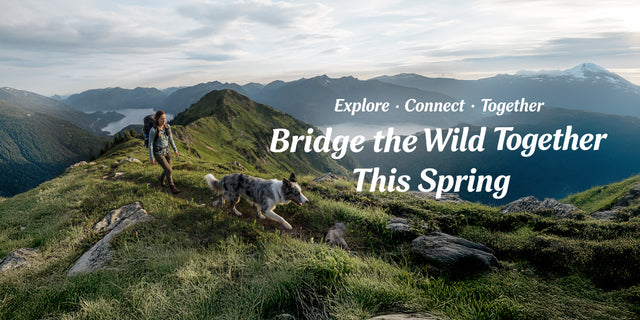 WILDPATH spring campaign banner showing a hiker and border collie running together on a mountain ridgeline, text Bridge the Wild Together This Spring
