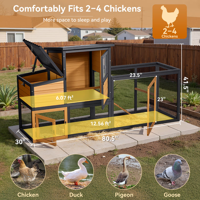 Spacious interior dimensions showing the coop comfortably fits 2 to 4 standard-sized chickens.