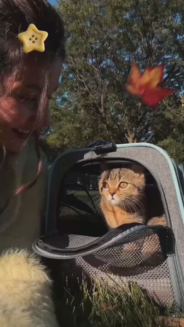 Pet owner carries a gray expandable cat carrier across a sunny park lawn, pet looking out through the mesh panel.