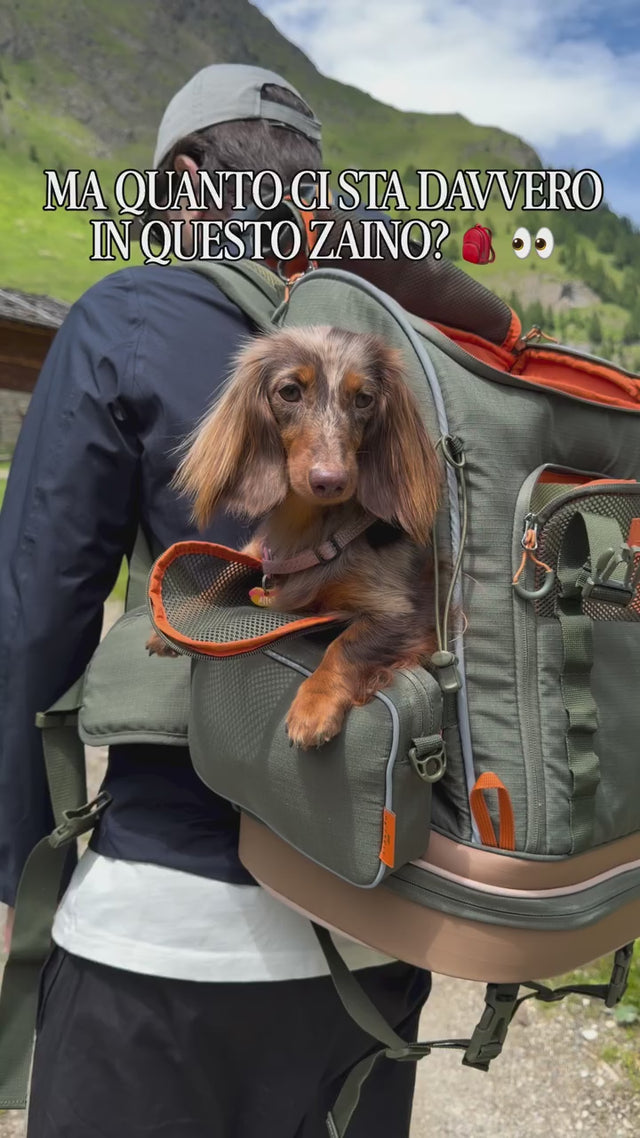 Hands pack a leash, collapsible bowl, wipes and water bottle into the zippered compartments of an olive pet carrier backpack