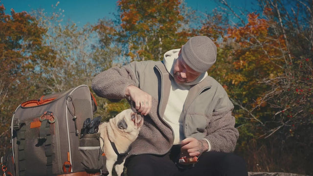 PETSFIT-WildPath-Hiking-Backpack-Pet-Owner-Experience-Traveling-with-15-Year-Old-Dog-on-Outdoor-Adventure