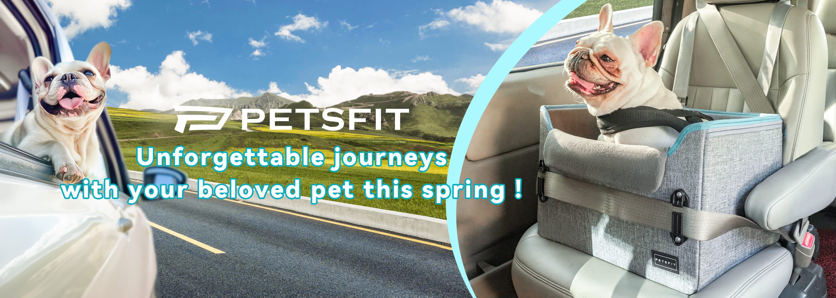 spring-big-sale-dog-car-booster-seats