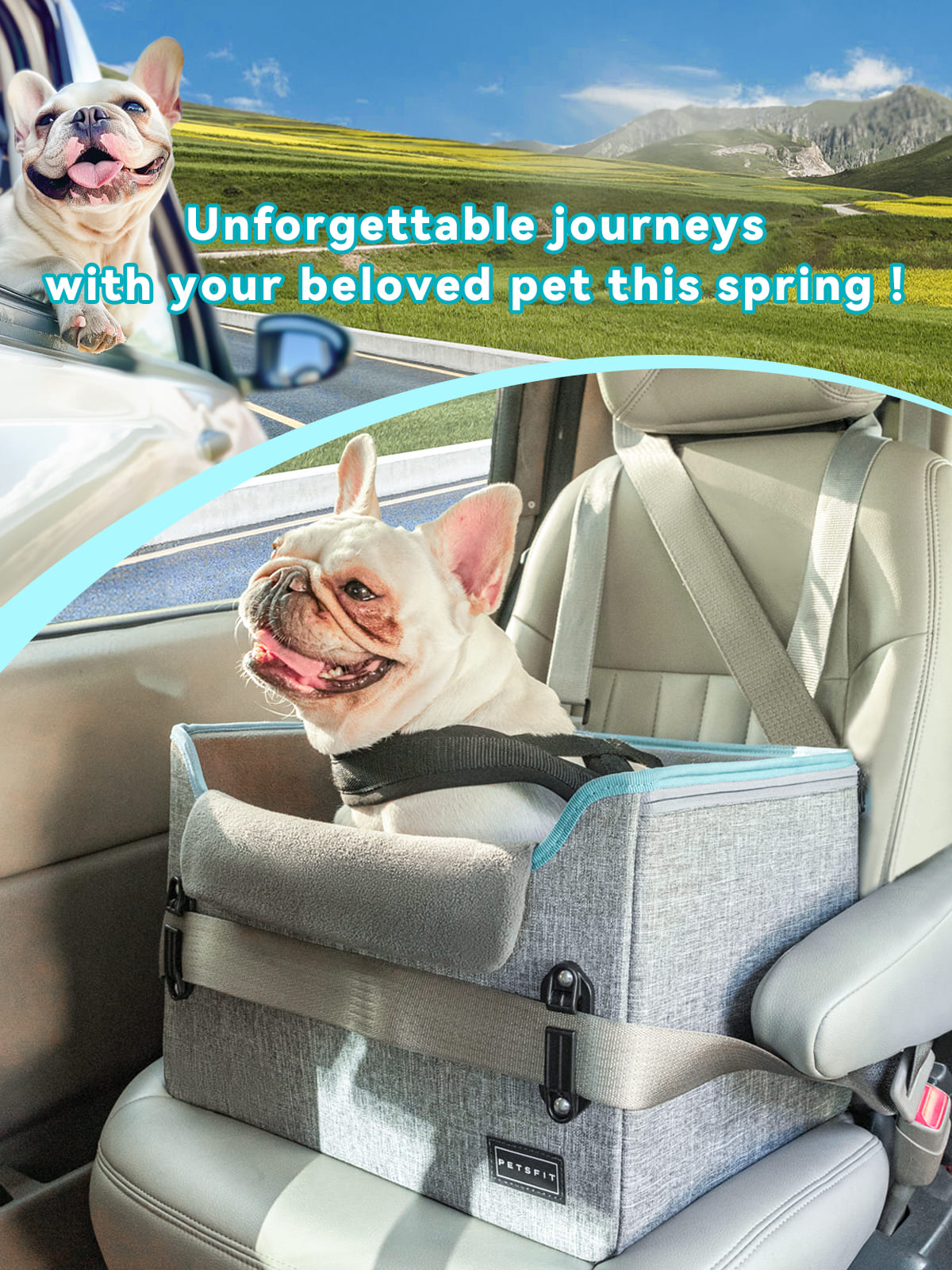 spring-big-sale-dog-car-booster-seats