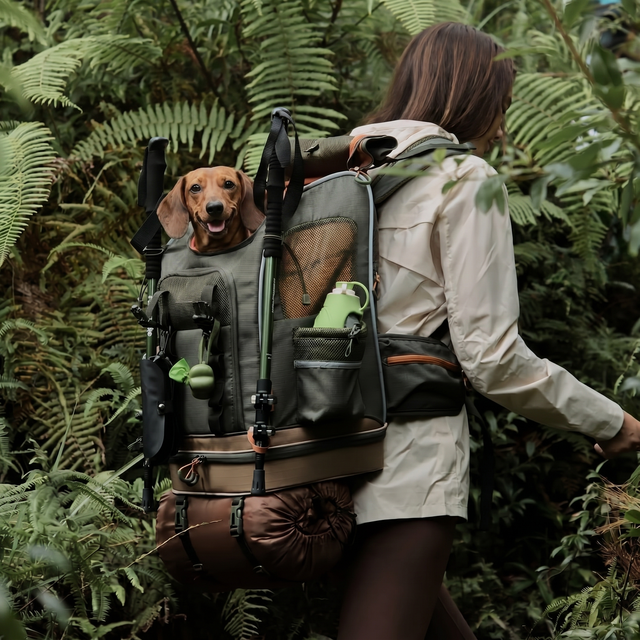 PETSFIT WILDPATH Pet Carrier Backpack for Hiking with Multi-Compartment Storage