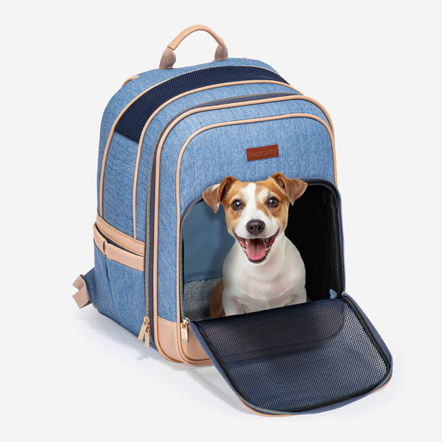 trendy-denim-pet-carrier-backpack