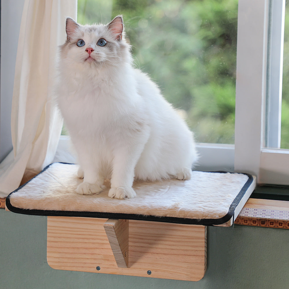 Petsfit-Cat-Window-Perch-Fits-for-2-Cats-01